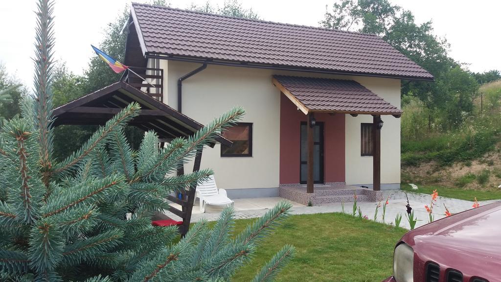 Poiana Mărului Cabana 7 Brazi מראה חיצוני תמונה